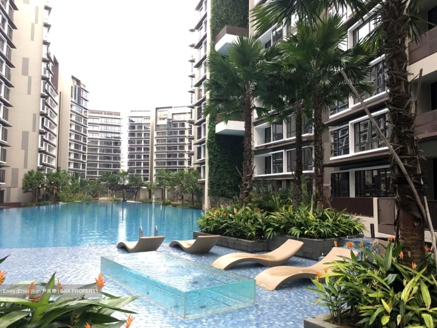 d'Nest (D18), Condominium #566371891